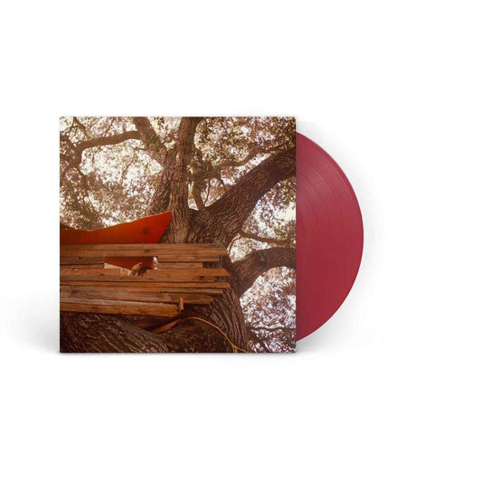 The Backseat Lovers - Waiting To Spill - Anniversary Edition)