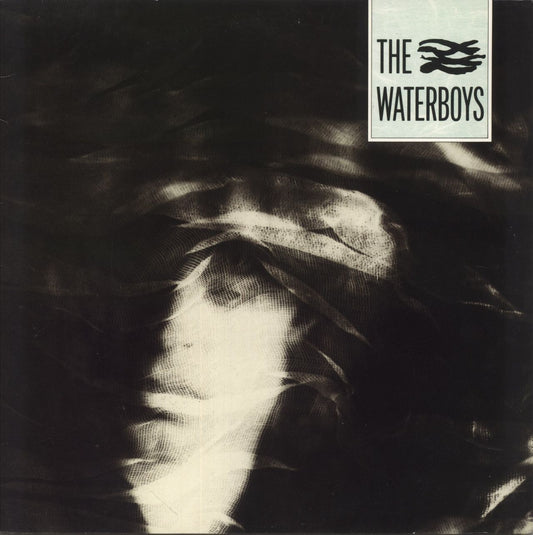 The Waterboys The Waterboys UK Vinyl LP