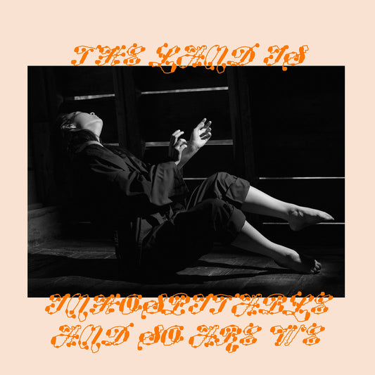 Mitski - The Land is Inhospitable and So Are We [Black or Ltd Ed Pink Aster Vinyl/ Blue Die-Cut Slipcase/ Indie Exclusive]