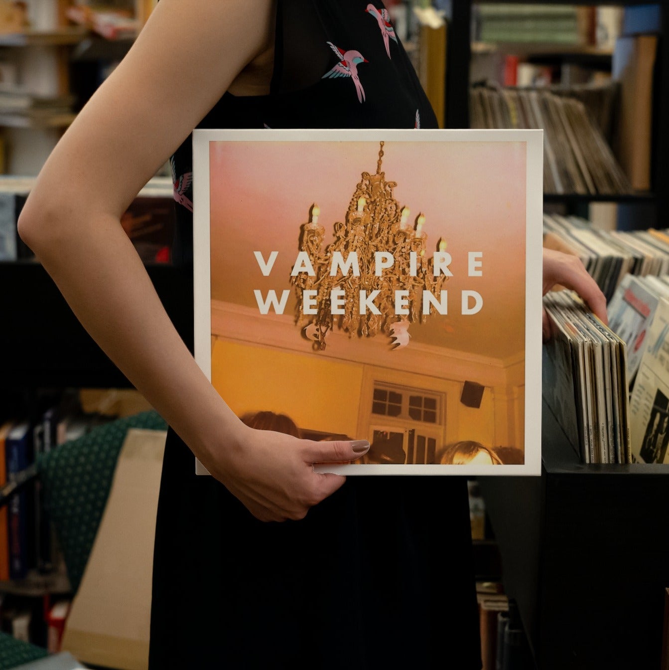 Vampire Weekend - Vampire Weekend - Vinyl LP Record
