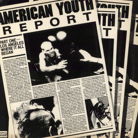 Various-Punk & New Wave American Youth Report US Vinyl LP