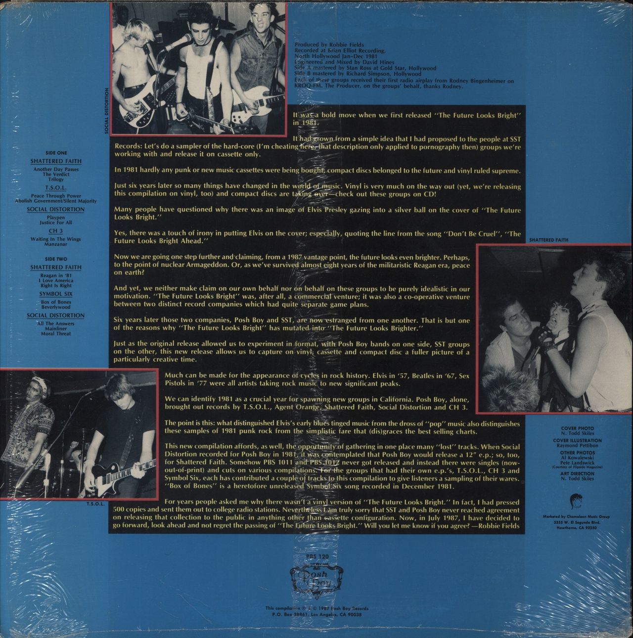 Various-Punk & New Wave The Future Looks Brighter US Vinyl LP