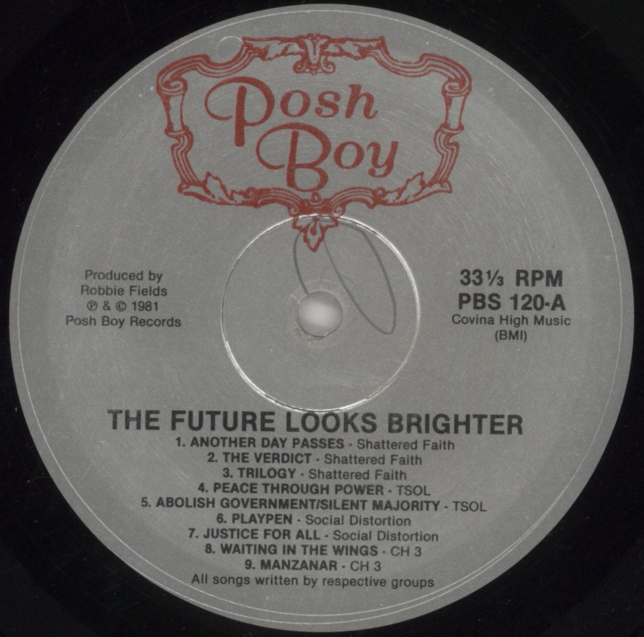 Various-Punk & New Wave The Future Looks Brighter US Vinyl LP