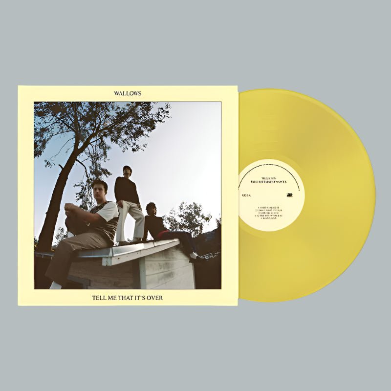 Wallows Tell Me That It's Over - Vinyl LP Record