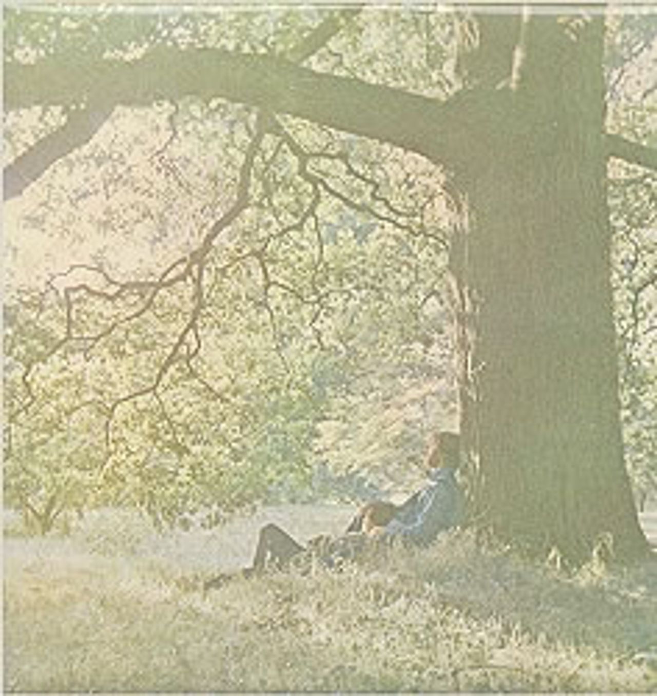 Yoko Ono Yoko Ono / Plastic Ono Band UK Vinyl LP