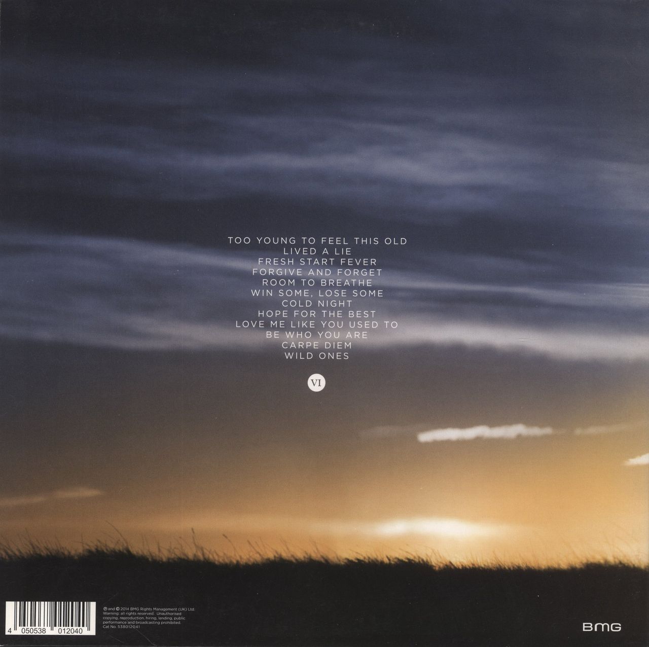 You Me At Six Cavalier Youth - 180gm UK Vinyl LP